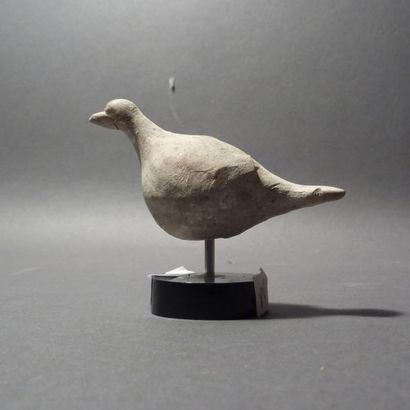 Colombe en terre cuite beige. Grande Grèce,...