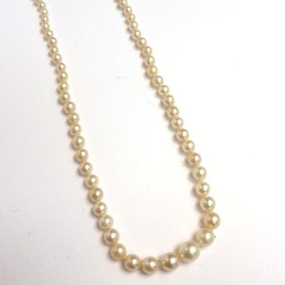 COLLIER de perles de culture en chute. Fermoir...