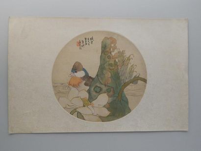 Peinture ronde sur soie : canard mandarin...
