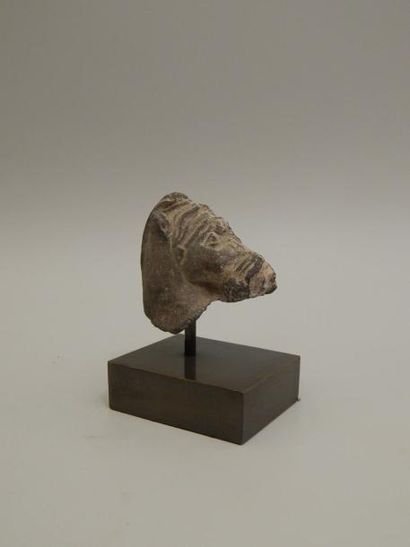 Tête de cheval en schiste. H :5.5cm. GANDHARA...