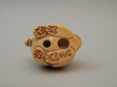 Netsuke en ivoire représentant un chien....
