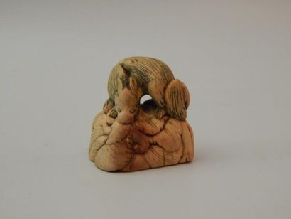 Netsuke représentant un animal sur un rocher....