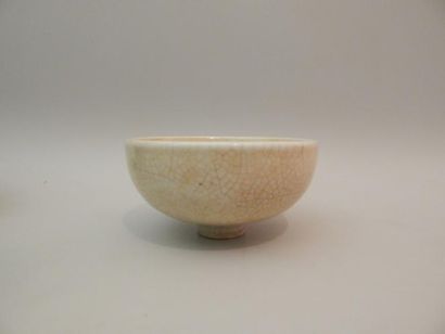 Coupe hémisphérique en porcelaine émaillée...