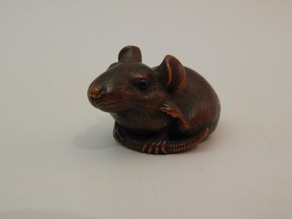 Netsuke en forme de rat sur sa queue lovée,...