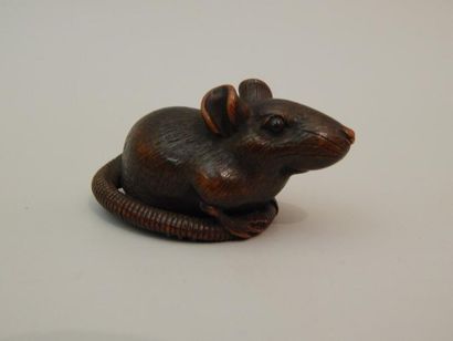 Netsuke en forme de rat sur sa queue lovée,...