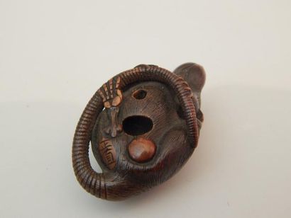 Netsuke en forme de rat sur sa queue lovée,...