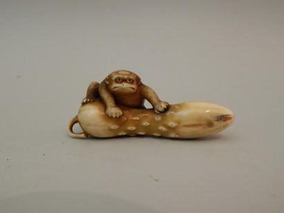 Netsuke en ivoire. Kappa à la carapace de...
