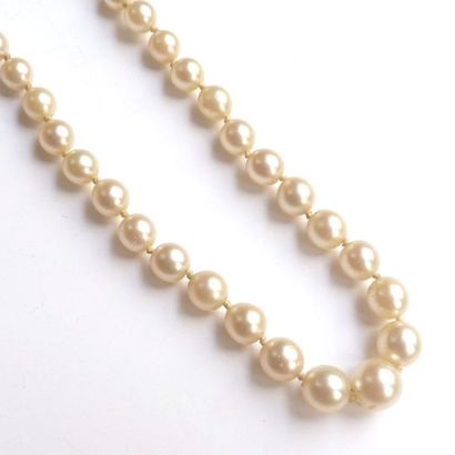 COLLIER ras de cou de perles de culture blanches,...