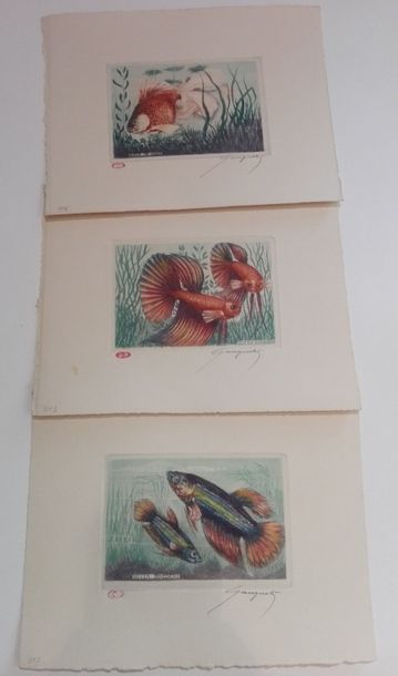 Paul GOGUET.
3 gravures de poissons.