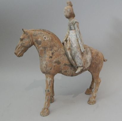 Cavalière amovible sur son cheval. En terre...