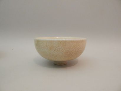 Coupe hémisphérique en porcelaine émaillée...