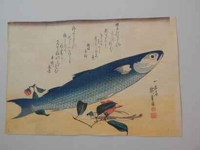 Hiroshige, les grands poissons. Bora, udo...