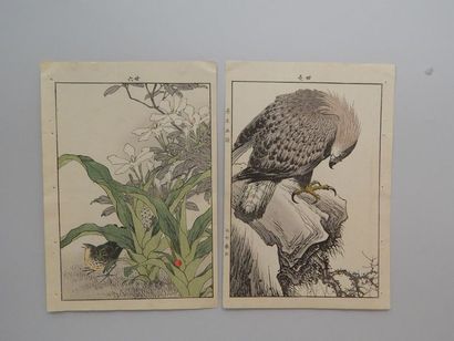 Keinen. Deux estampes d’oiseaux. Vers 18...