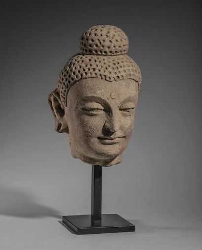 Tête de Bouddha à la coiffure en ondes fines...