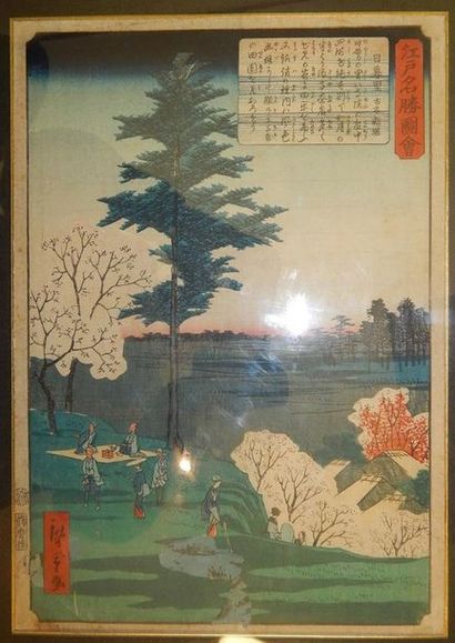 Hiroshige II, oban tate-e, 