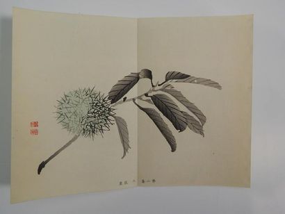 Livre de douze estampes, école Shijo. Fin...
