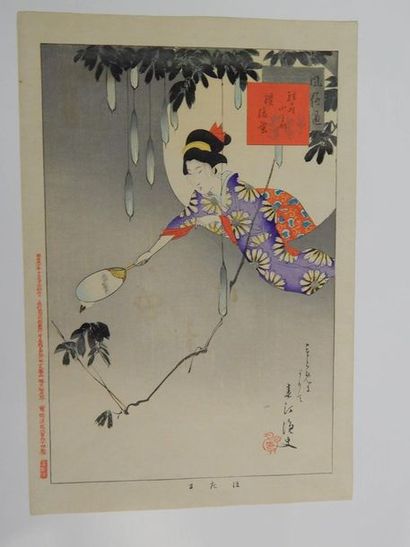 Shuntei, la chasse aux papillons.
