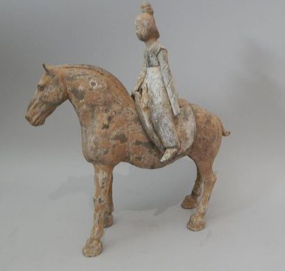 Cavalière amovible sur son cheval. En terre...