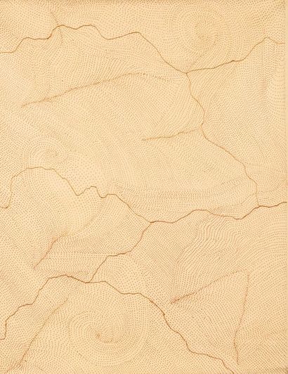 SARRITA KING (GURINDJI), NEE EN 1988

LES...