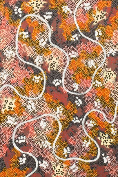 TJAPALTJARRI CLIFFORD POSSUM (ANMATYERRE),...