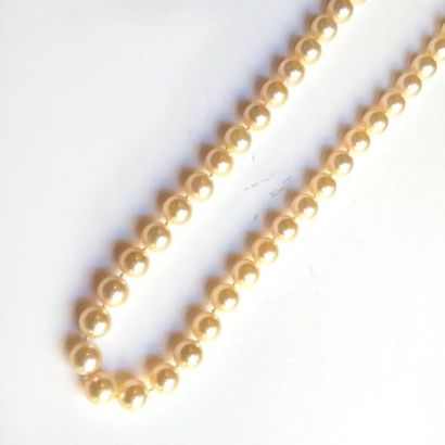 COLLIER de perles de culture choker, fermoir...