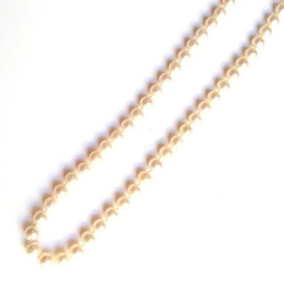 COLLIER de perles de culture choker, fermoir...