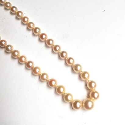 183 BIS. COLLIER de perles de culture en...