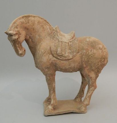 Cheval sellé debout sur sa base. En terre...