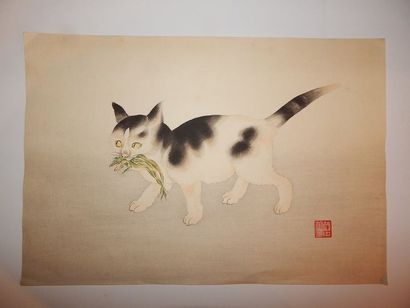 Aoyama Seizan. Chat tenant une grenouille...