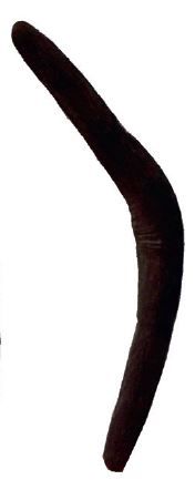 BOOMERANG DE L’OUEST AUSTRALIEN (RETURNING...