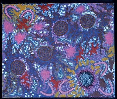 NUNGURRAYI GABRIELLA POSSUM (LURITJA / ANMATYERRE),...