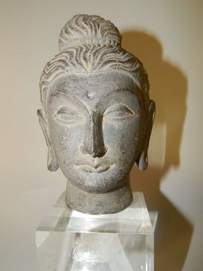 Tête de bouddha en schiste. H : 13 cm. GANDHARA...