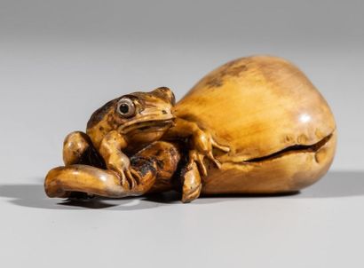 Okimono en ivoire, représentant un crapaud...