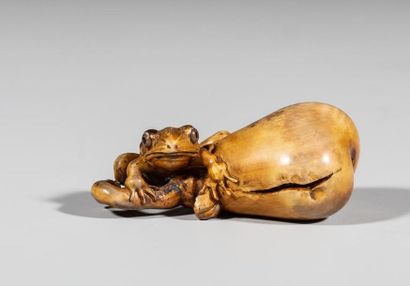 Okimono en ivoire, représentant un crapaud...