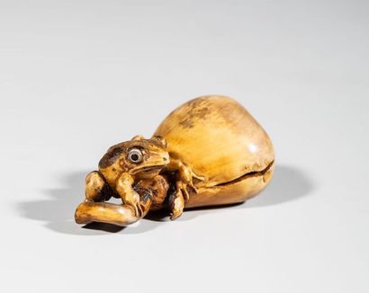 Okimono en ivoire, représentant un crapaud...