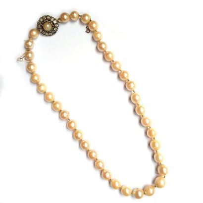 COLLIER de perles de culture choker

Fermoir...
