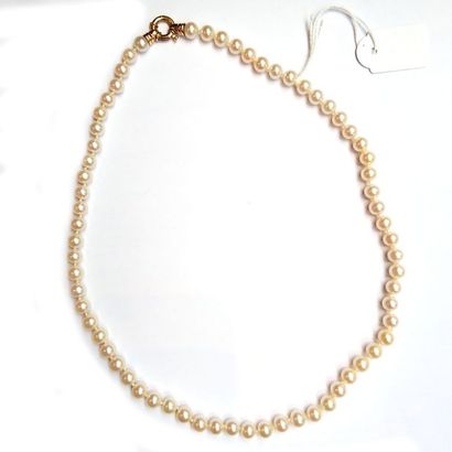 COLLIER de perles de culture choker

Fermoir...