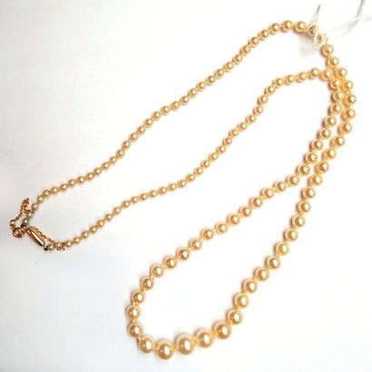 COLLIER de perles de culture en chute

Fermoir...