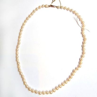 COLLIER de perles de culture choker

Fermoir...