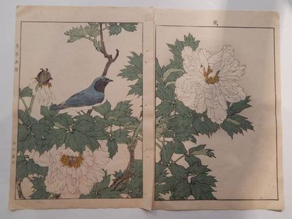Imao Keinen,diptyque : mésange bleue dans...