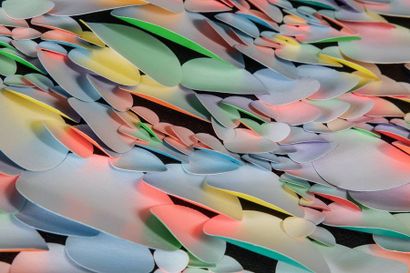 PATRICIA JEAN DROUART. NEE EN 1958
MULTICHROME...