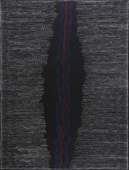 NAPANGARDI DOROTHY (WARLPIRI). CIRCA 1950-2013

Salt...