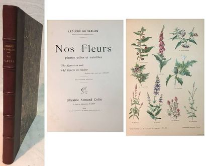 LECLERC du SABLON.

Nos Fleurs. Plantes utiles...
