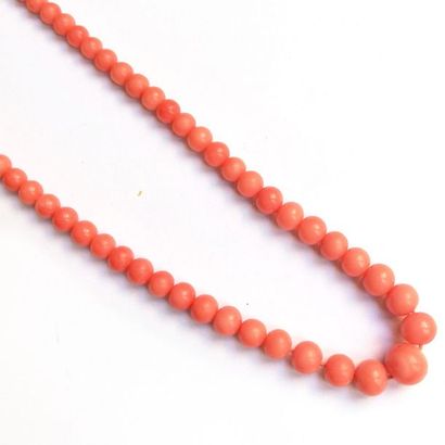 COLLIER de perles de corail en chute. L :...