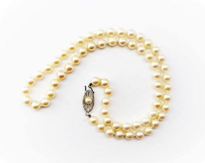 COLLIER de perles Akoya, fermoir fantaisie,...