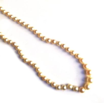 COLLIER de perles de culture en chute, fermoir...