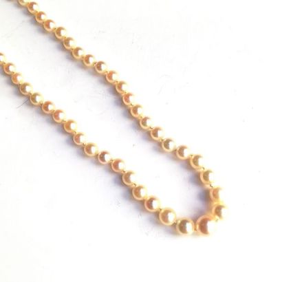 COLLIER de perles de culture en chute, fermoir...