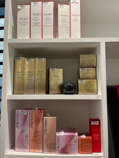 STOCK : Produits CLARINS, SHISEIDO, GUERLAIN,...
