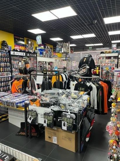 STOCK : Stock composé de : Jeux vidéos, accessoires,...