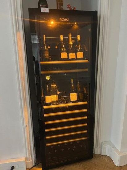 1 cave à vin EUROCAVE PROFESSIONAL (problème...